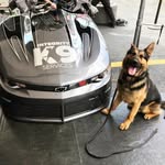 Dwayne Rice IK9S Racing - @ik9s_racing - Instagram