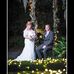 Dwayne Roach - Facebook