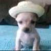 dwaynerodriguez99 - @dwaynerodriguez99 - TikTok
