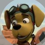 @dwayne_the_ruff_ruff_moto.pup - Instagram