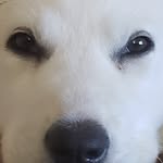 Dwayne Scott - @dwayne.scott.566 - Instagram