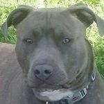 Dwayne Sharp - @dwayne.sharp - Instagram