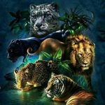 Dwayne Small - @bingi_246 - Instagram