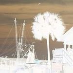 Dwayne Small - @dwayne.small.165 - Instagram