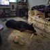 Duane Snyder - Facebook