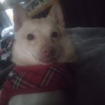 Duane Snyder - @duane.snyder.779 - Instagram