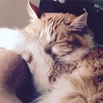 Dwayne Snyder - @d_snyder299 - Instagram