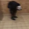 liljoe - @dewaynespikes2 - TikTok