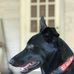 Dwain Warner - Facebook