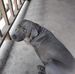 Dewayne Weaver - Facebook
