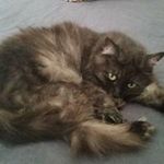 Dwayne Whitley - @dwayne.whitley.39 - Instagram