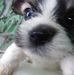 Dwayne Whitten - Facebook