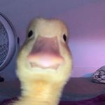 Dwayne Winter - @dwayne_maps - Instagram