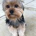 Duane Wolff - Facebook