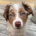 Dwayne Wood - Facebook