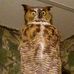 Dewayne Workman - Facebook