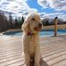 Dwayne Yates - Facebook
