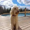 dwayneyates - @dwayneyates - TikTok