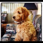 @dwayne_yoder - Instagram