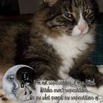Dwelly Ryder - @dwellyryder - Instagram