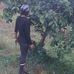Dwight Anthony - Facebook