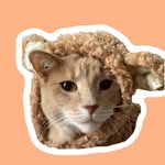 Dwight Anthony Union 🐱 - @kingdwightt - Instagram
