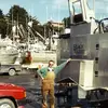 dwightbeebout - @dwightbeebout - TikTok