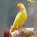 Dwight Bennett - Facebook
