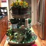 Mary Patricia Dwight Benson - @pbshamrock4673 - Instagram