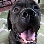 Dwight Bryant - @dwight.bryant.524 - Instagram
