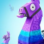 Dwight Carpenter - @fortnite_fan_4000 - Instagram