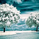 Dwight Carr - @jt97qzx6ir9cx8 - Instagram