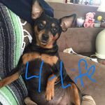 Dwight Carson - @dwightcarson16 - Instagram