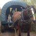Dwight Carson - Facebook