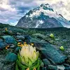 Dwight.chenchen - @dwight.chenchen - TikTok