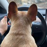 Clayton Dwight - @claytondwight44 - Instagram