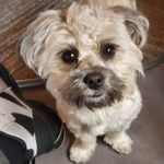 Dwight Crawford - @dwightcrawford42 - Instagram