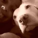 dwightcrump - @dwightcrump7732 - Instagram