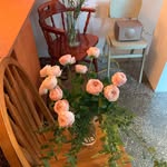 Dwight Day - @infoinsight6 - Instagram