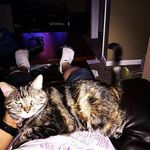 @dwight_dayp - Instagram