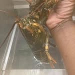 Dwight Dean - @dwight.dean.336 - Instagram