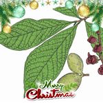 Dwight Dillon - @dwightbdillongmail.com4 - Instagram