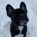 Dwight David Daze Dodge - @dwightdaze - Instagram
