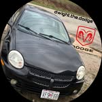 Dwight the Dodge - @dwight.the.dodge - Instagram