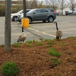 Dwight Drewery - @dwightdrewery - Instagram