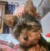 Dwight Duncan - Facebook