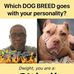 Dwight Durant - Facebook