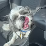 Dwight - @dwightebelkin - Instagram