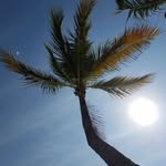 Dwight Emerson - @dwighte1508 - Instagram