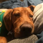 forrest dwight freeman - @runnnforrestrunnn - Instagram